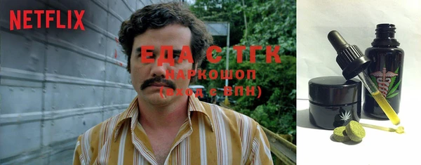 спиды Бородино