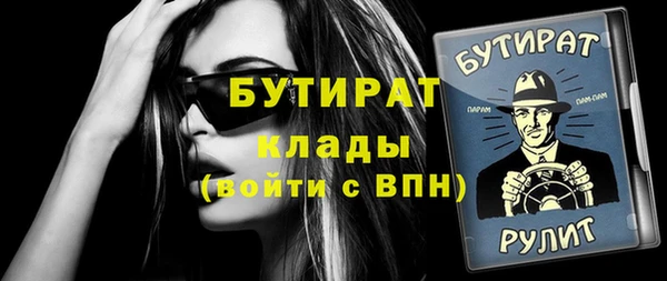 индика Володарск