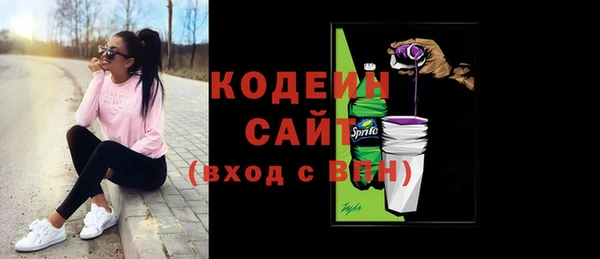 спиды Бородино