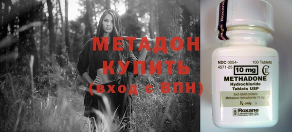 индика Володарск