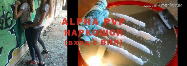 индика Володарск