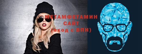 индика Володарск